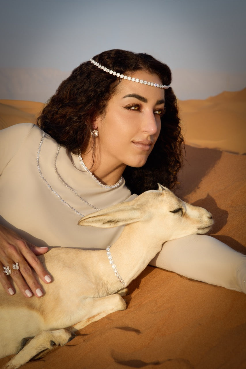 The Zhabi